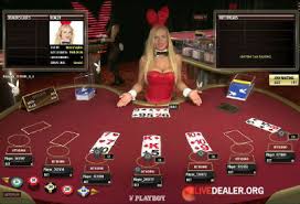 Playboy live casino