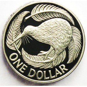 a new zealand dollar