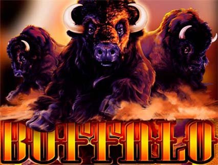 Play on Buffalo Pokie Review NZ